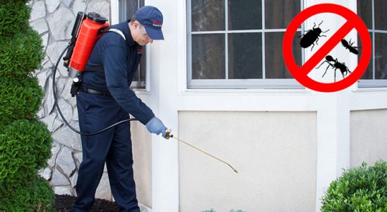 Hendek Fare İlaçlama böcek ilaçlama ve haşere kontrolü — ilaclama-tr.com